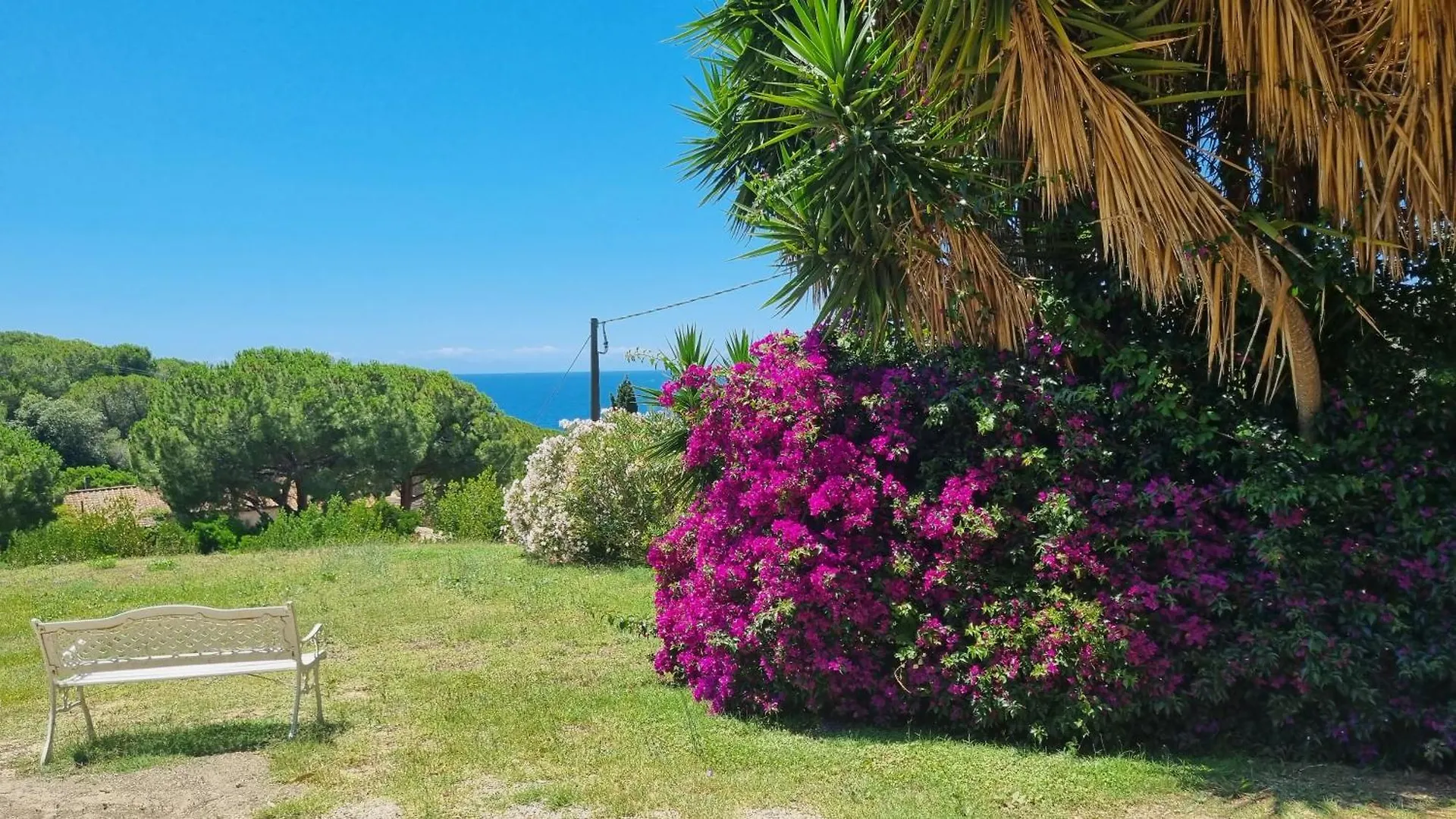 Apartment Appartamenti La Conchiglia Capoliveri