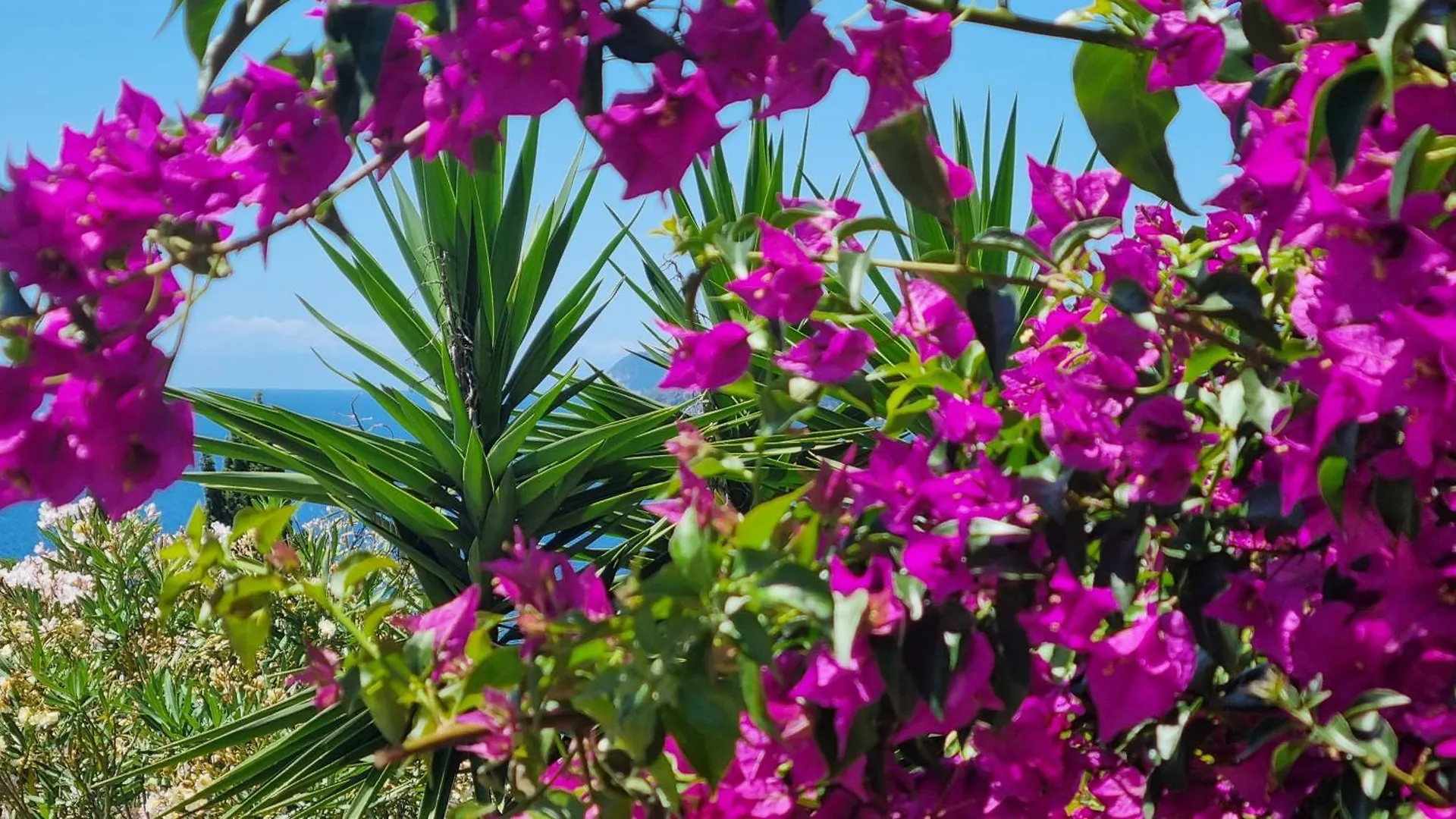 Appartamenti La Conchiglia Capoliveri  0*, Capoliveri (Isola d'Elba)