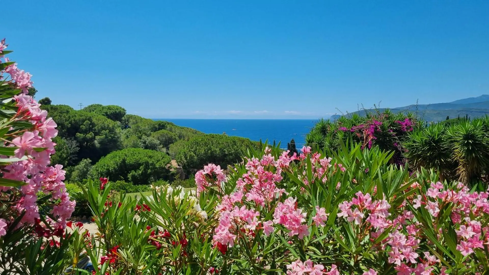 Appartamenti La Conchiglia Capoliveri   Capoliveri (Isola d'Elba)