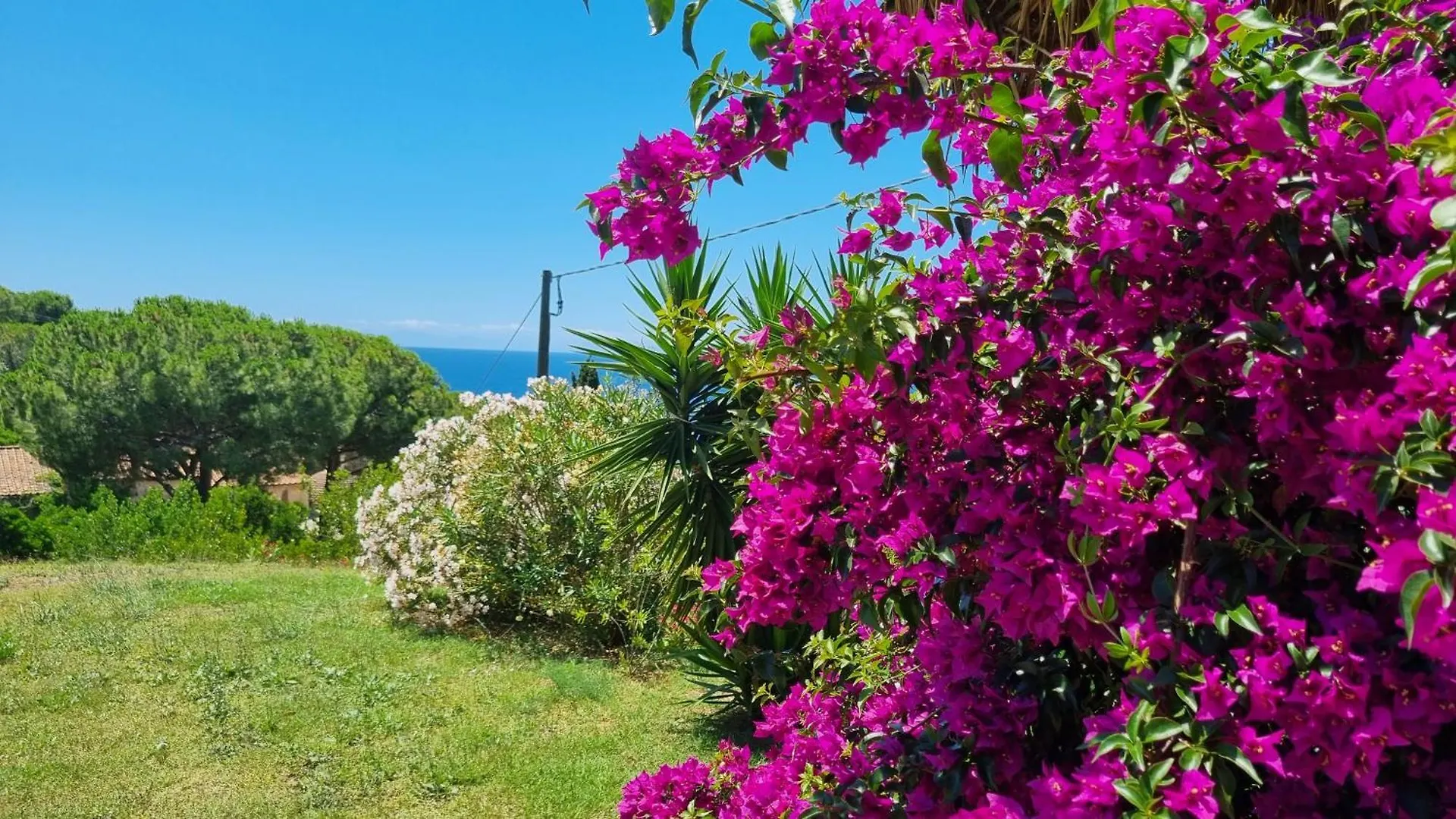 Appartamenti La Conchiglia Capoliveri  0*, Capoliveri (Isola d'Elba)